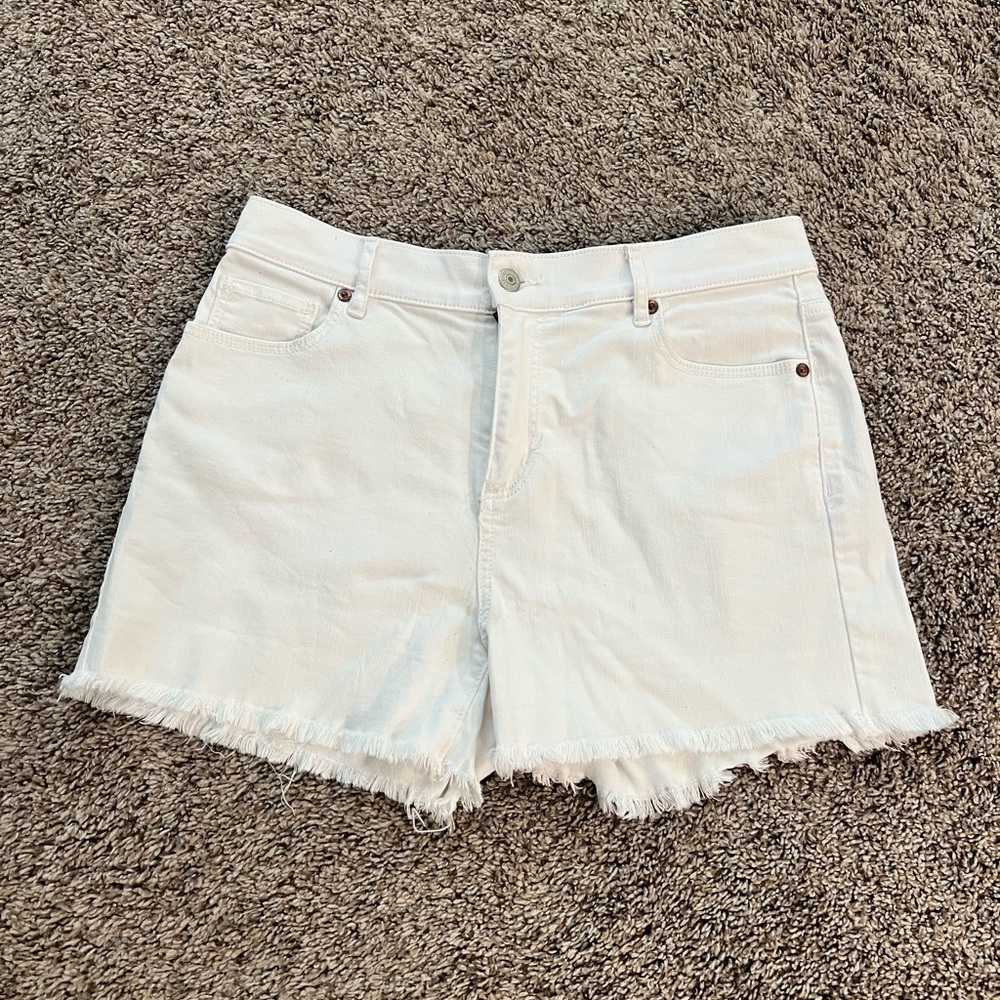 Loft shorts